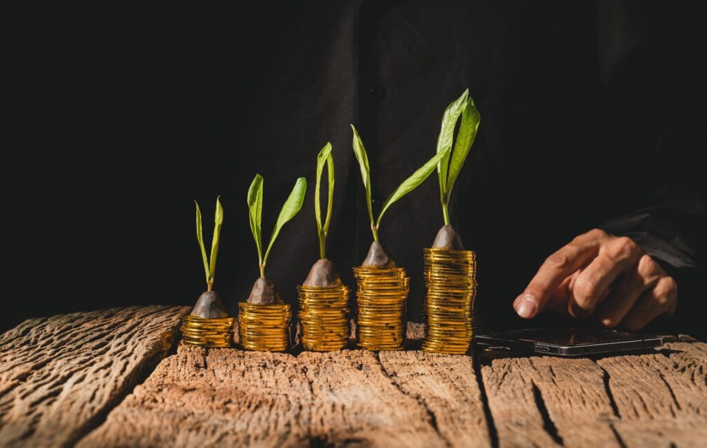 placements financiers permettant de fructifier votre patrimoine